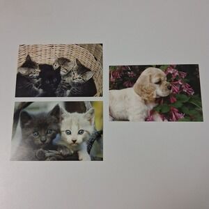 Vintage Kitten Puppy Postcard Ephemera  Lot‎ Animal Decor Cottagecore 2006 Retro